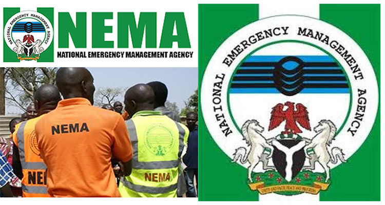 National Emergency Management Agencys NEMA