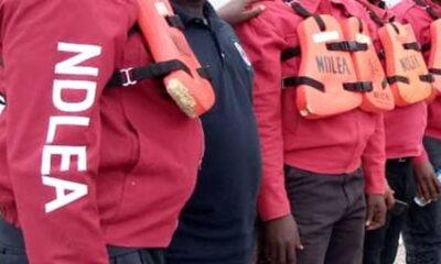 NDLEA seizes 398192kg illicit drugs arrests 69 suspects in Kaduna