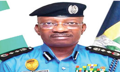 Consider constabulary for police recruitment Reps tell IG